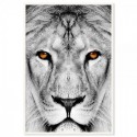 Lion Dream Art Print