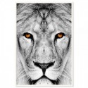 Lion Dream Art Print