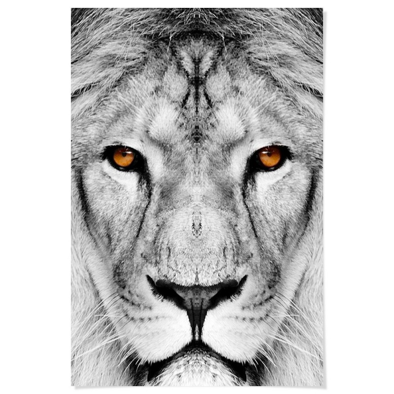 Lion Dream Art Print