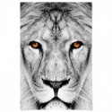 Lion Dream Art Print