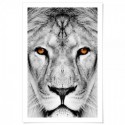 Lion Dream Art Print