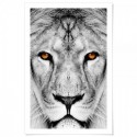 Lion Dream Art Print