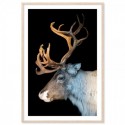 Majestic Deer Art Print