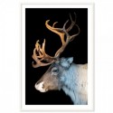 Majestic Deer Art Print
