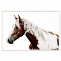 Pinto Horse Art Print