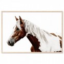Pinto Horse Art Print