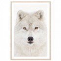 Snow Wolf Art Print