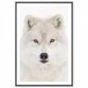 Snow Wolf Art Print