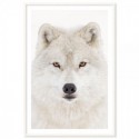 Snow Wolf Art Print