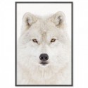 Snow Wolf Art Print