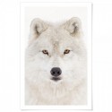 Snow Wolf Art Print