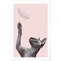 Sphynx Art Print