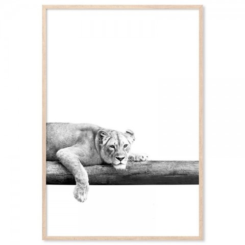 Take It Easy Lion Art Print