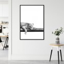 Take It Easy Lion Art Print