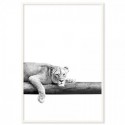 Take It Easy Lion Art Print