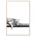 Take It Easy Lion Art Print