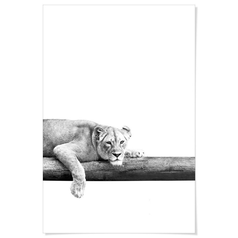 Take It Easy Lion Art Print