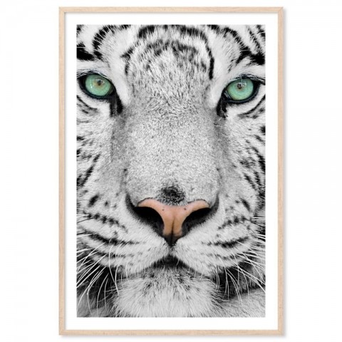 Tiger Dream Art Print