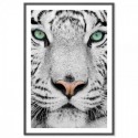 Tiger Dream Art Print