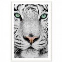 Tiger Dream Art Print