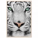 Tiger Dream Art Print