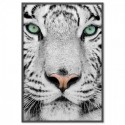 Tiger Dream Art Print