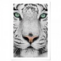 Tiger Dream Art Print