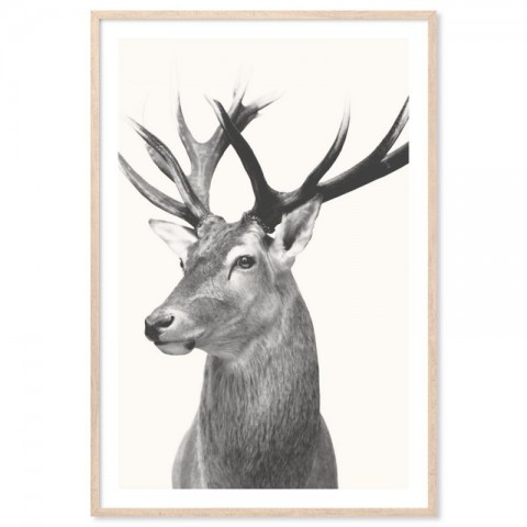 Vintage Deer Art Print