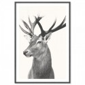 Vintage Deer Art Print