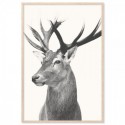 Vintage Deer Art Print