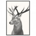 Vintage Deer Art Print