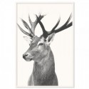 Vintage Deer Art Print