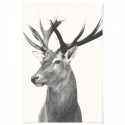 Vintage Deer Art Print