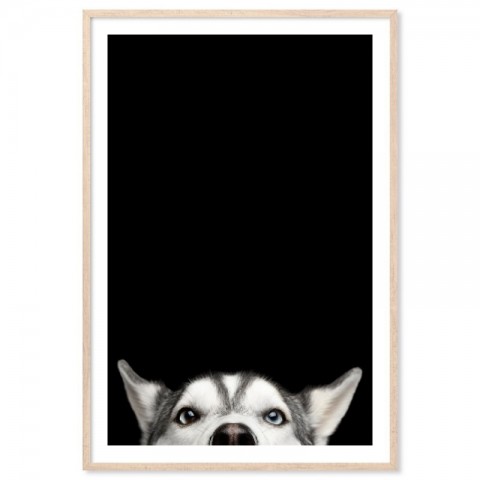 Watcha Doing Dog Art Print