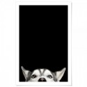 Watcha Doing Dog Art Print