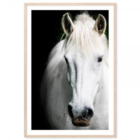 White Beauty Art Print