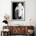 White Beauty Art Print