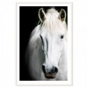 White Beauty Art Print