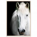 White Beauty Art Print