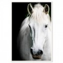 White Beauty Art Print