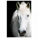 White Beauty Art Print