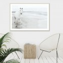 White Horse On Beach Art Print