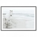 White Horse On Beach Art Print