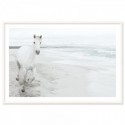 White Horse On Beach Art Print