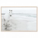White Horse On Beach Art Print