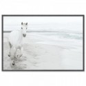 White Horse On Beach Art Print