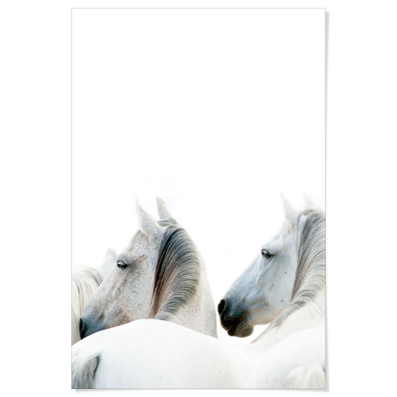 White Horses Art Print