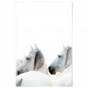 White Horses Art Print