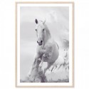 White Stallion Horse Art Print