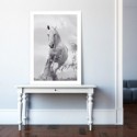 White Stallion Horse Art Print